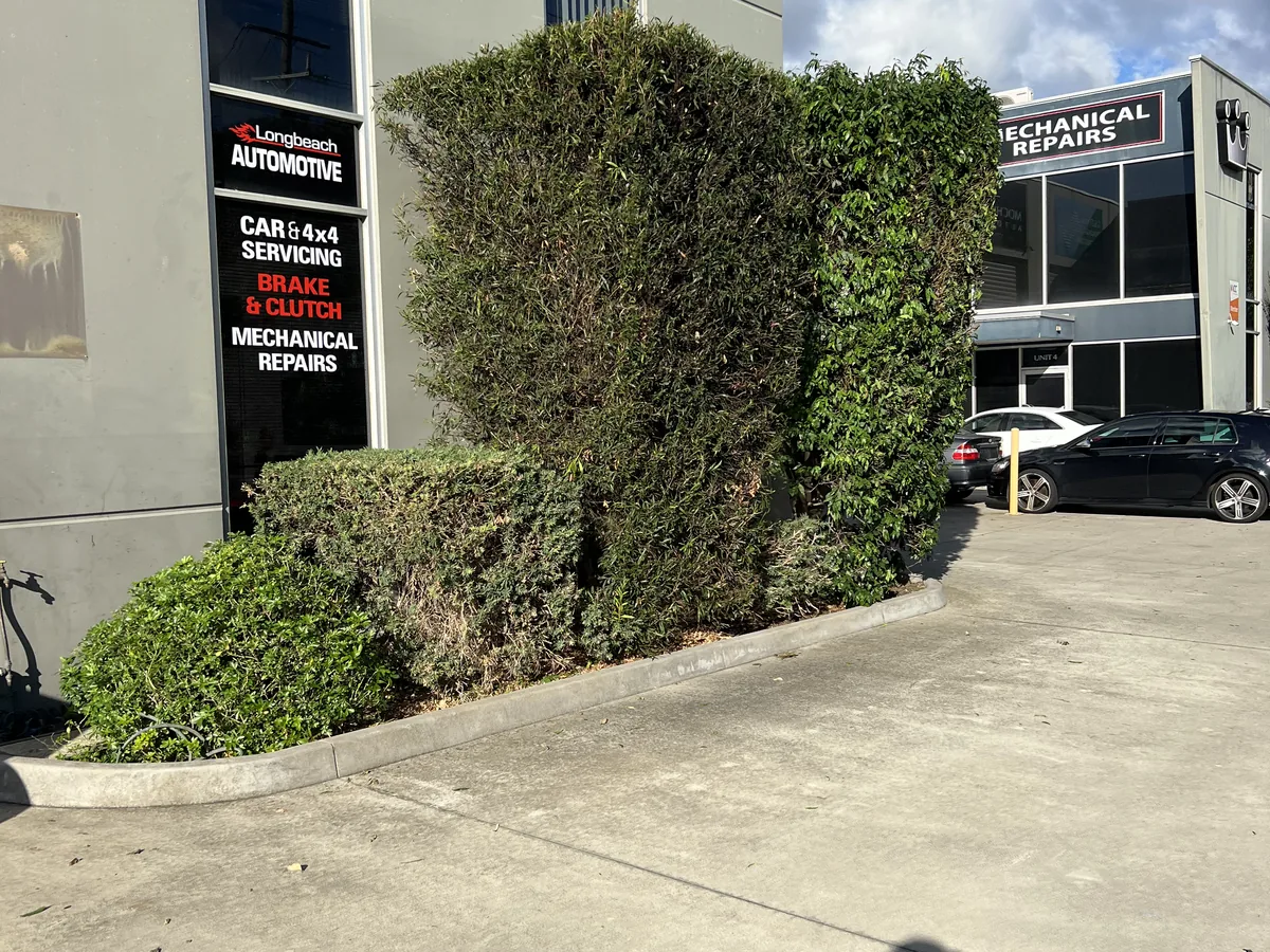 Business entrance hedging maintained, Chelsea Heights