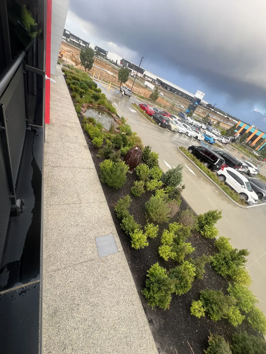 New planting going into a commercial car-park garden bed at Cranbourne West