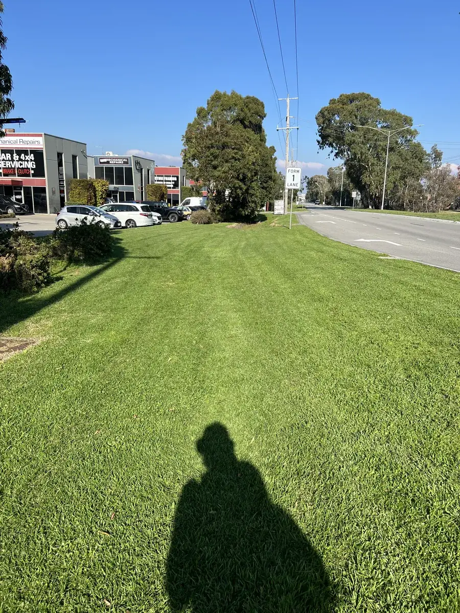 Freshly mown lawn with clean stripes on a regular maintenance round at Chelsea Heights