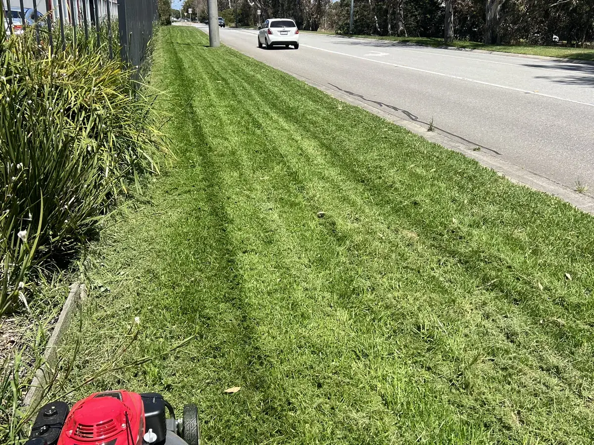 Verge mown and edged along a business frontage