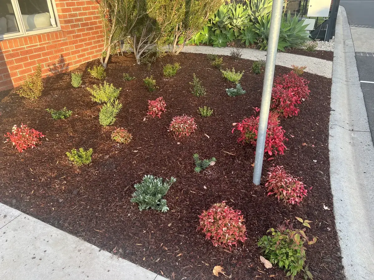 Garden beds refreshed and replanted with fresh mulch, Clyde North