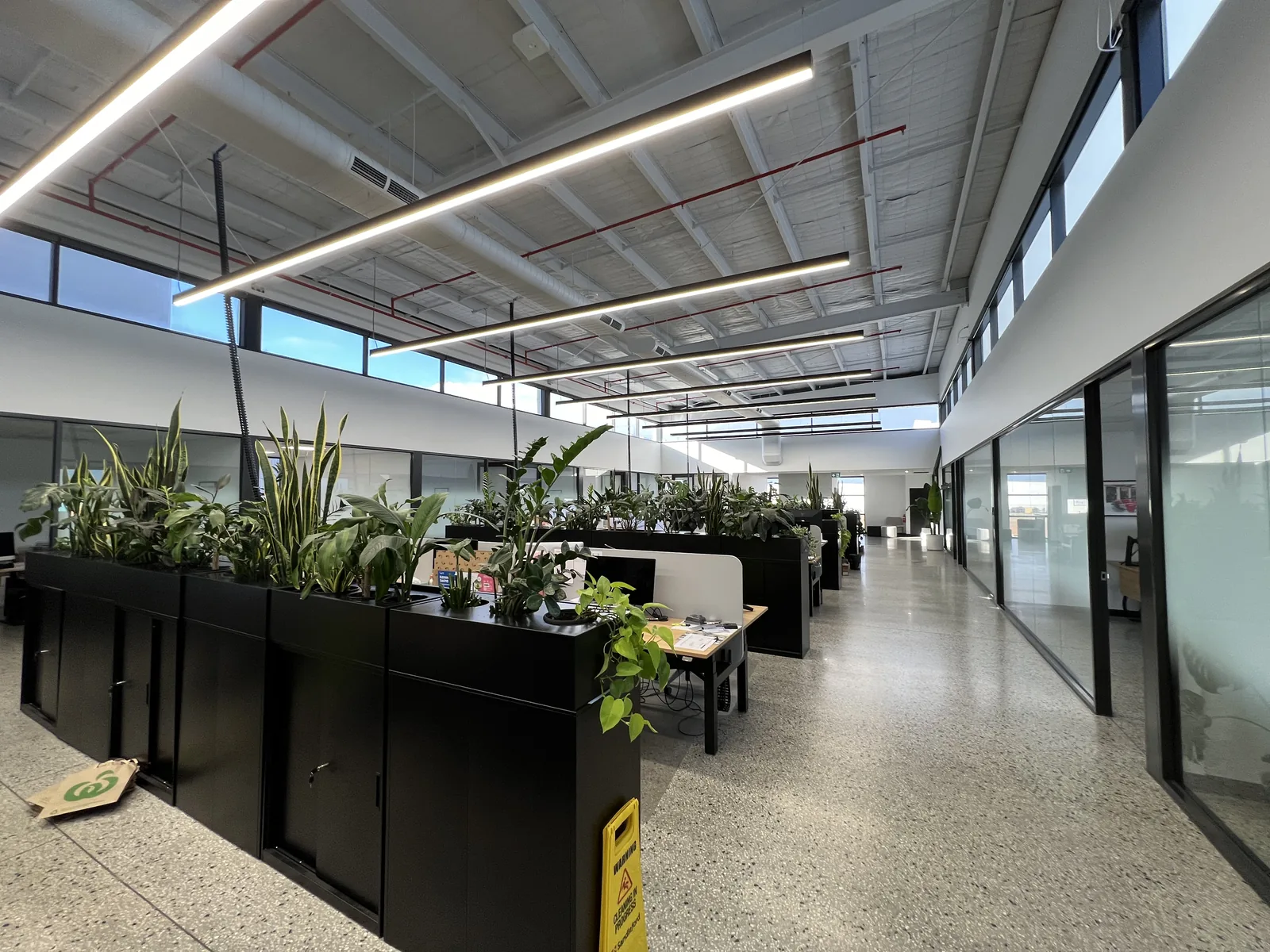 Indoor plant maintenance, healthy office displays at a south-east Melbourne business