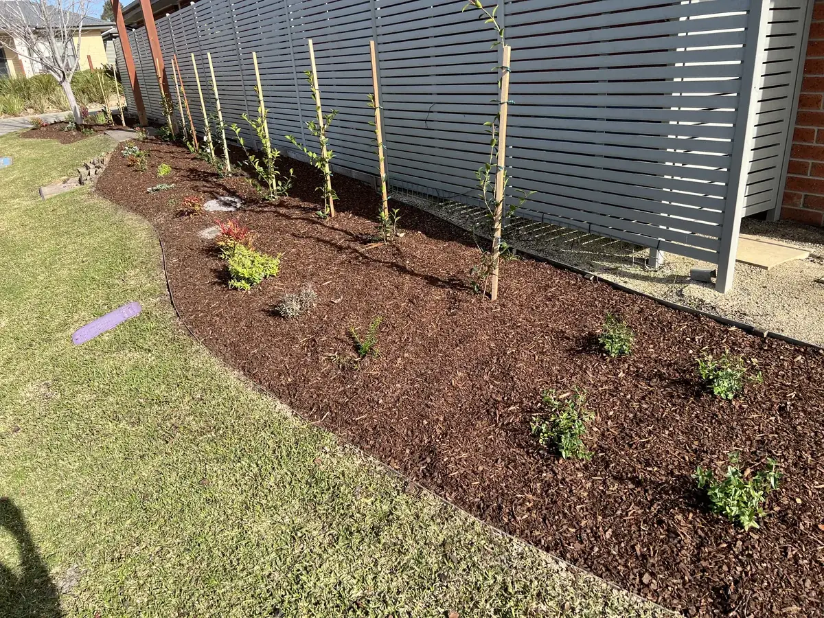 New garden beds planted and mulched at a Clyde North community
