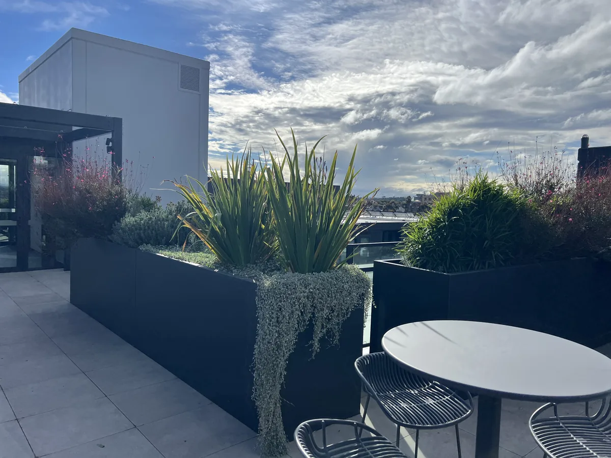 Rooftop office plant displays watered, fed and rotated