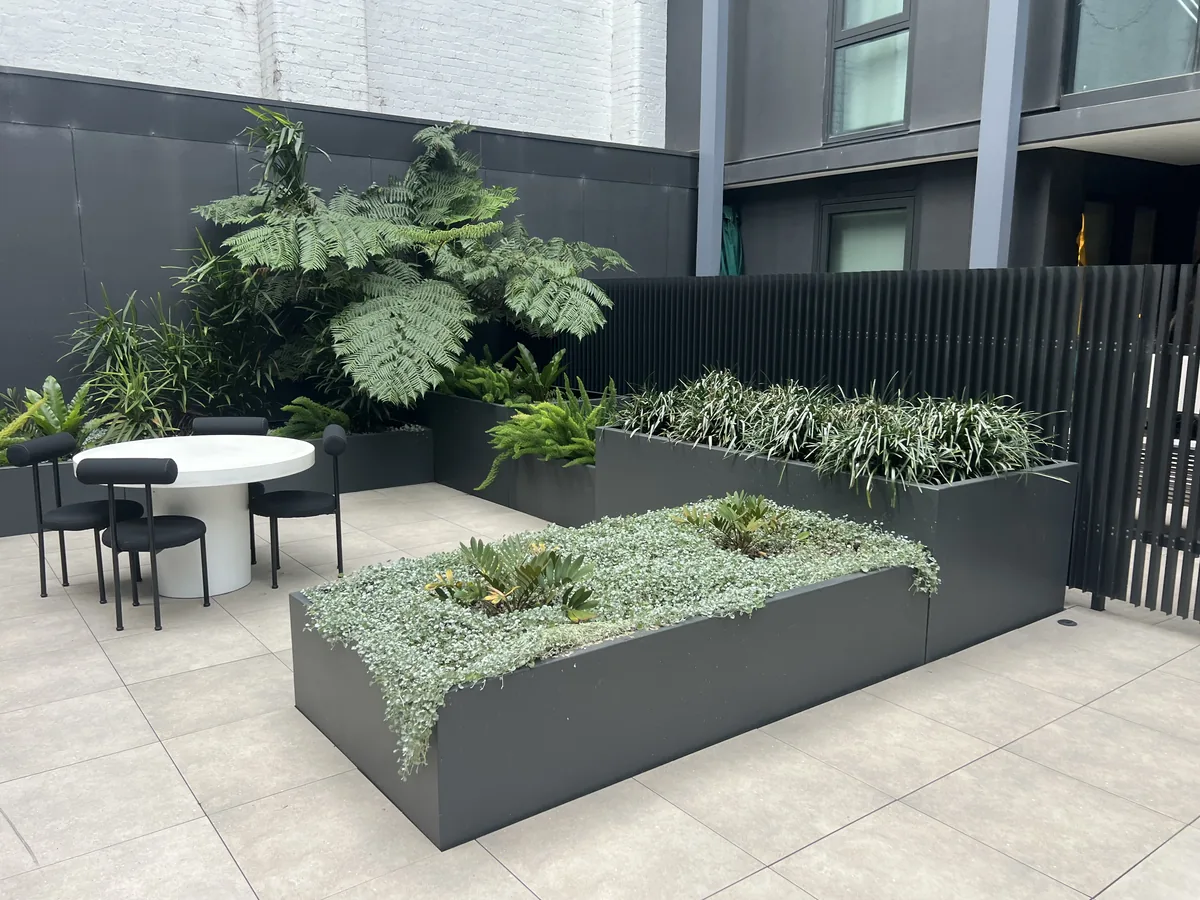 Office planter boxes kept thriving with regular plant maintenance