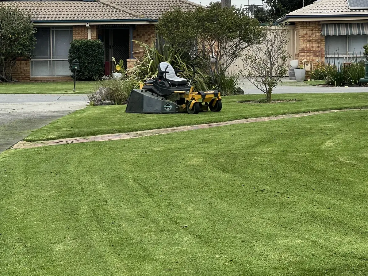 An open lawn cut and cleaned up on a large property