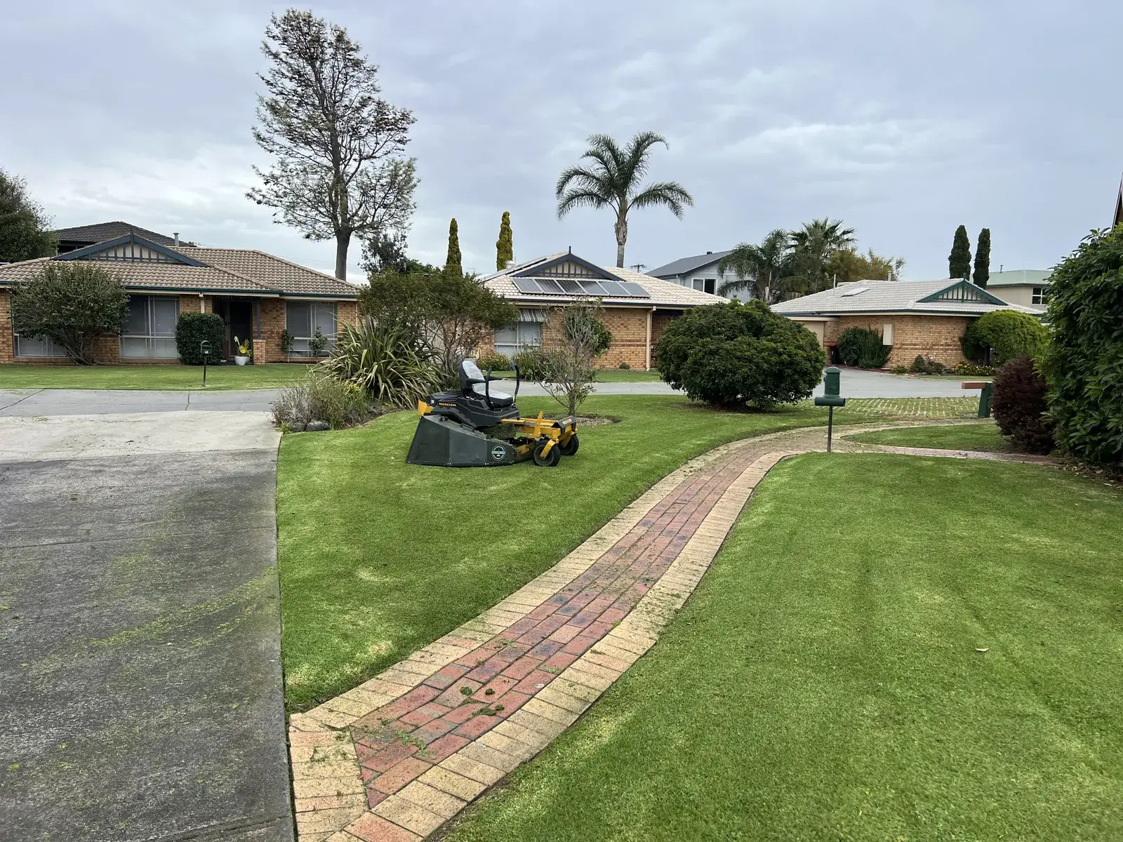 Owners corporation gardening in Edithvale, a tidy unit frontage in the Bayside Kingston area